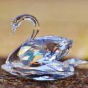 Swarovski - swarovskLabuť Swarovskii-1125721_1920