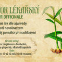 Malý domácí lexikon 13 - 10_zázvor_wikipwdia.org