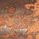 Malý domácí lexikon 12 - 20_rez