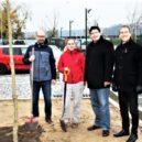 Nové stromy pro Holešovice - 4 stromy-jankovcova-600×400