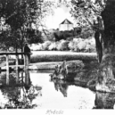 Obora Hvězda – cíl turistů - 4 světlička mokřad hvězda