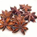 Malý domácí lexikon 19 - anise stars