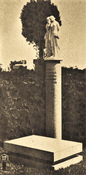 Obrázek #8 z 13