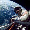 Gemini 12 - Astronaut Edwin E. Aldrin – výstup z kabiny Gemini 12 – wikipedia