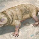 Zvedl se závoj popela a prachu - Brasilitherium riograndensis