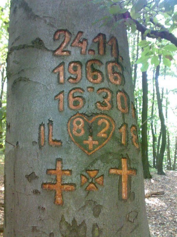 Obrázek #7 z 14
