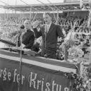Bily Graham - Graham káže na křížové výpravě v Oslu v Norsku, 1955 – wikipedia