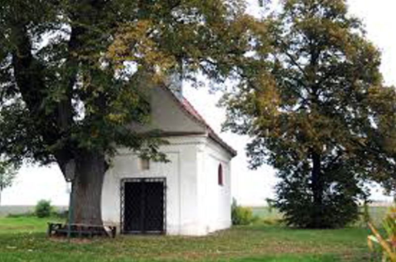 Obrázek #8 z 10