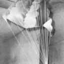 Gemini 12 - S Rogallovým křídlem se počítalo i v projektu Apollo (let na Měsíc) – wikipedia