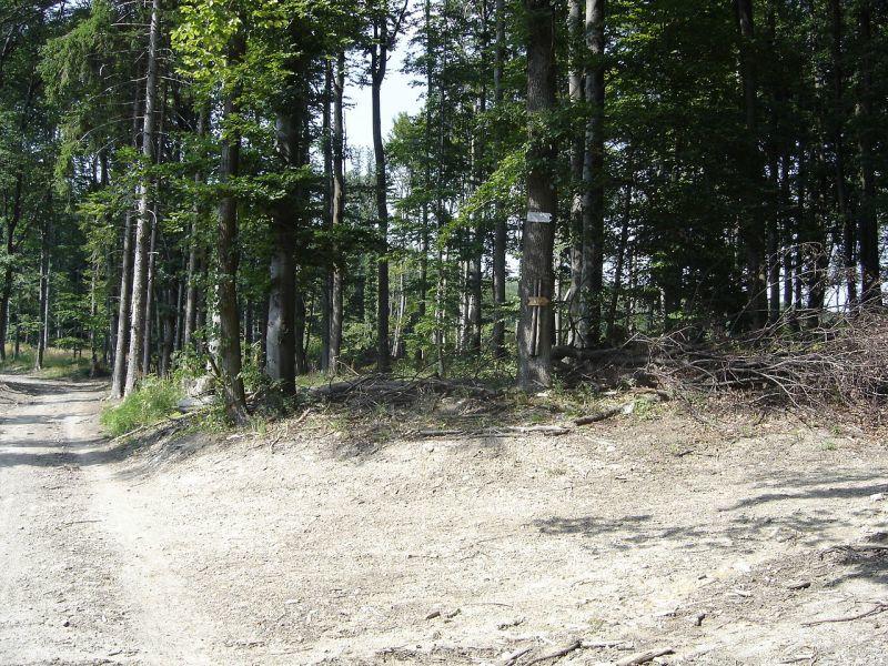 Obrázek #13 z 14
