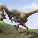Zvedl se závoj popela a prachu - Saurornitholestes