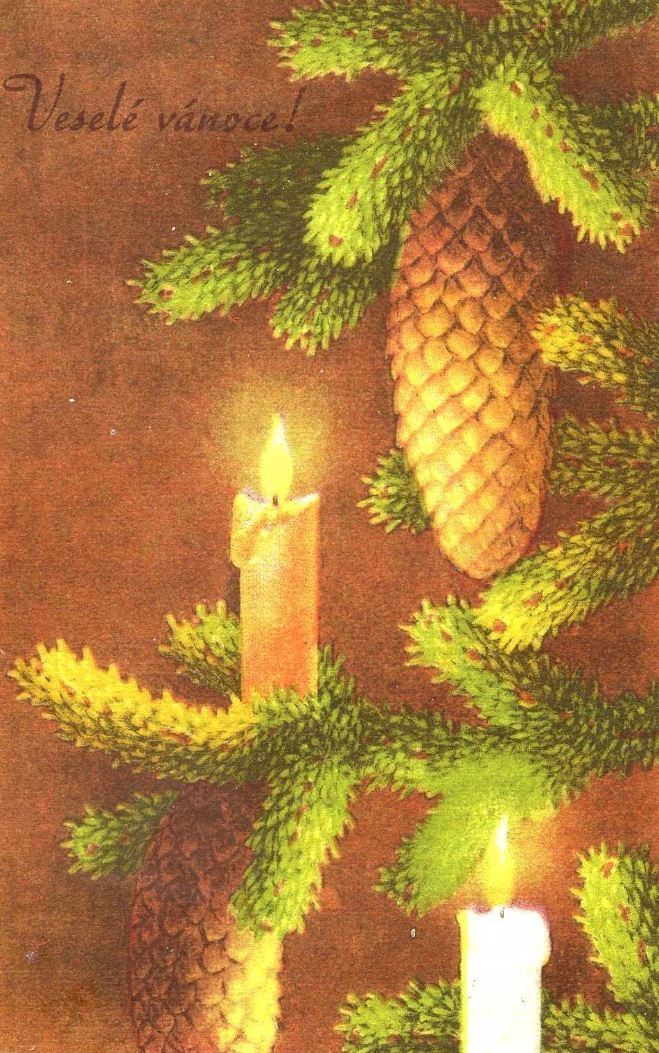 Obrázek #10 z 13