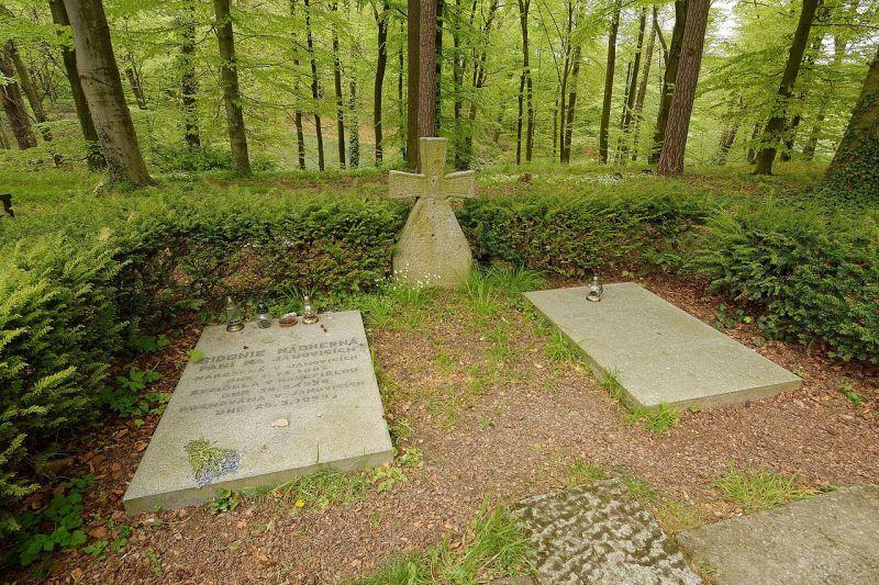 Obrázek #15 z 17