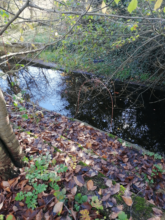 Obrázek #3 z 3