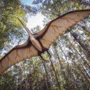 Zvedl se závoj popela a prachu - pterosaurus