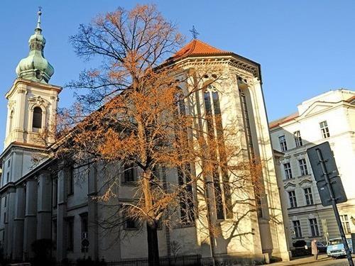 Obrázek #4 z 8