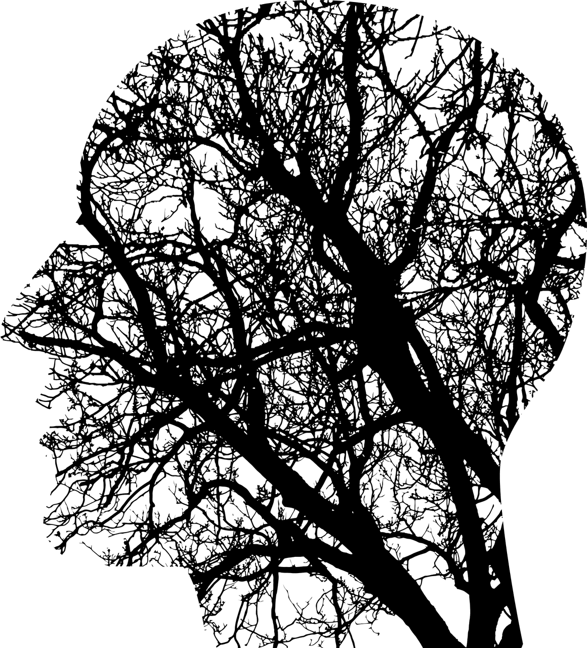 Obrázek #5 z 7