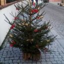 Vánoční stromky a ozdoby - Český Krumlov
