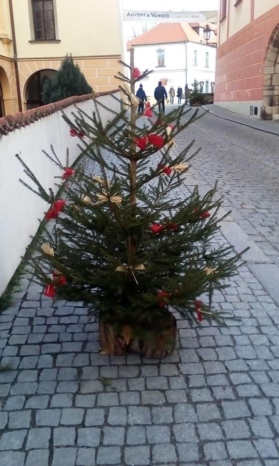Obrázek #3 z 4