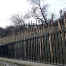 Nová pražská vinice - 2 Vinice_Vitkov_20191203_151811