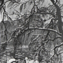 Otakar Štáfl - 2b labutě čsv 15