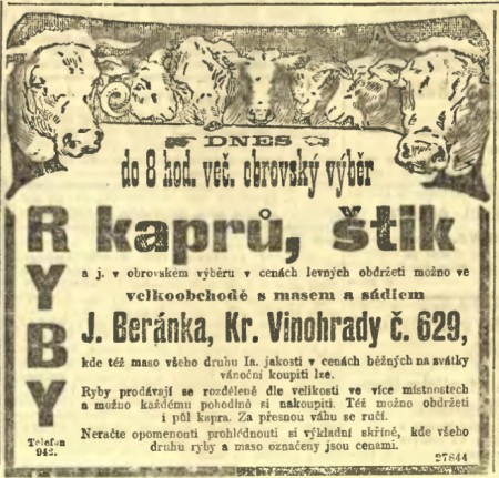 Obrázek #4 z 7