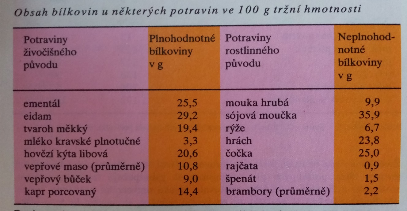 Obrázek #2 z 9