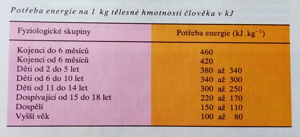 Obrázek #4 z 9