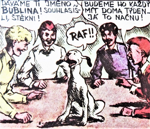 Obrázek #8 z 13