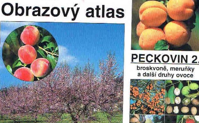 Obrázek #11 z 11