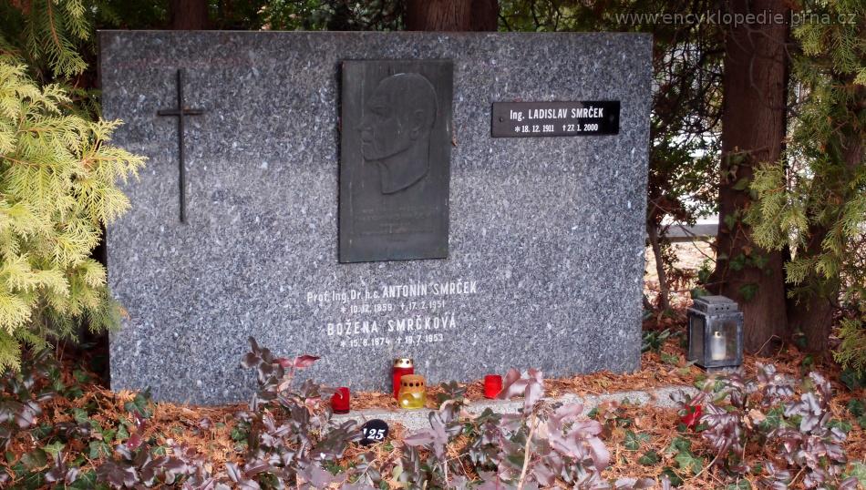 Obrázek #6 z 7