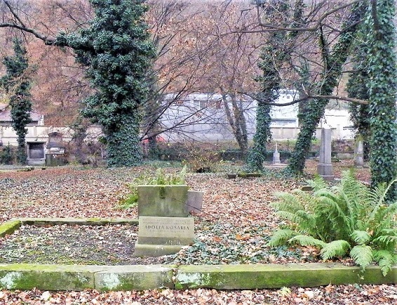 Obrázek #13 z 14