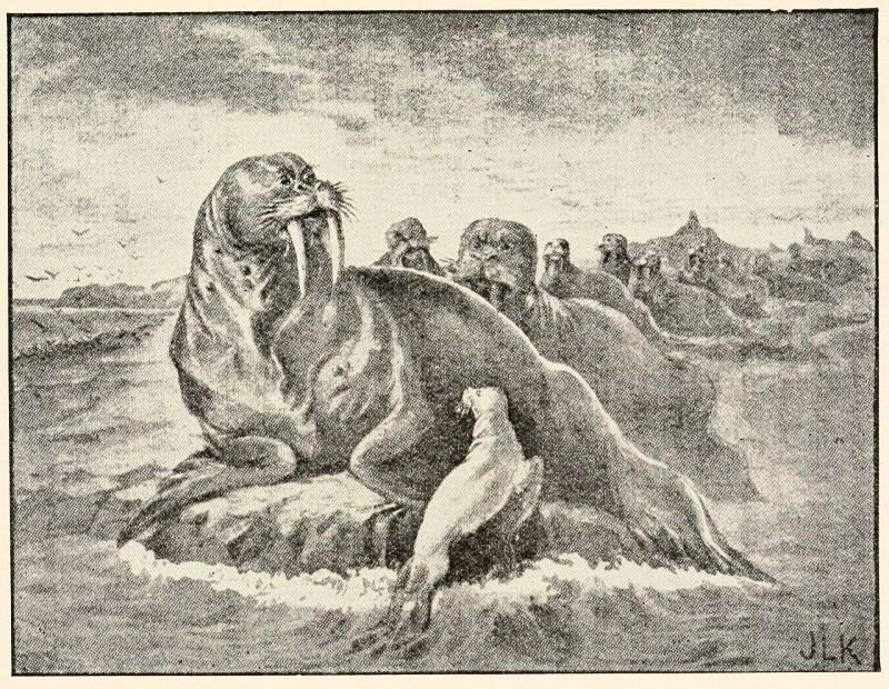 Obrázek #6 z 25