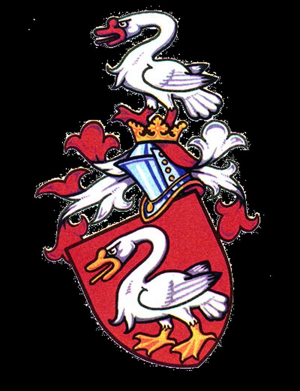 Obrázek #11 z 13