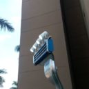 Gillette a žiletky - Gillete před univerzitouAin Shams (Egypt) . 6 – wikimedia.commons