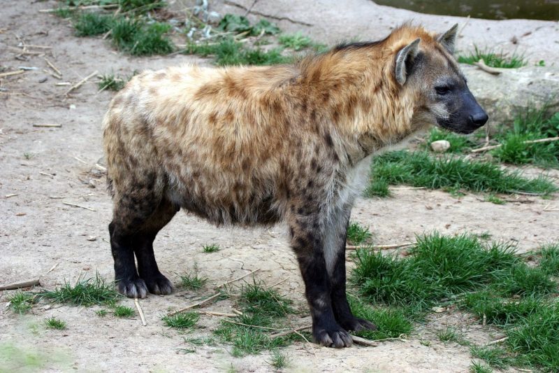 Obrázek #3 z 6