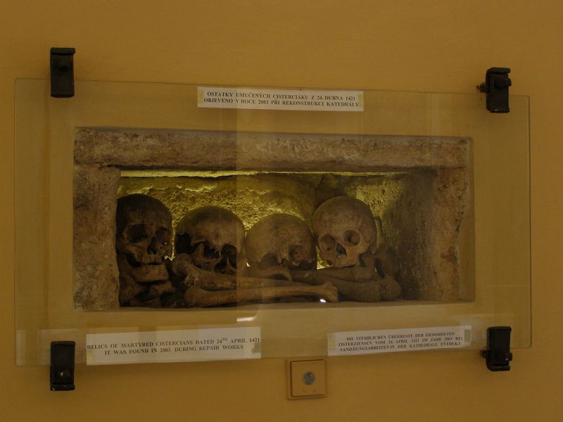 Obrázek #9 z 13