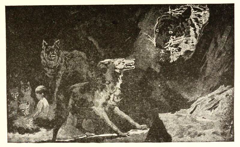 Obrázek #13 z 25