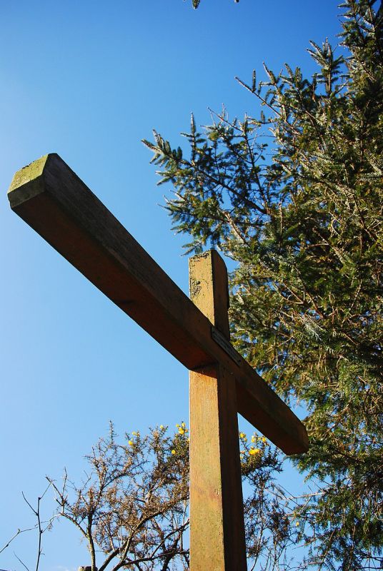 Obrázek #18 z 19