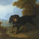 Madame do Pompadour - Portrait of Mimi, Madame de Pompadour’s King Charles Spaniel, in a landscape-wikimedia.commons