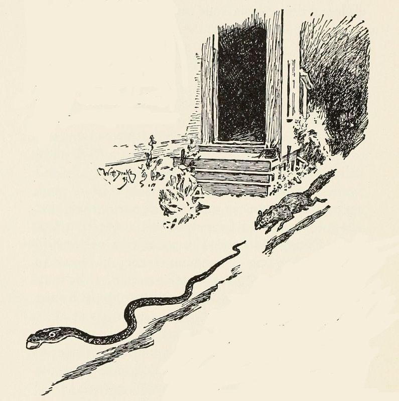 Obrázek #15 z 25