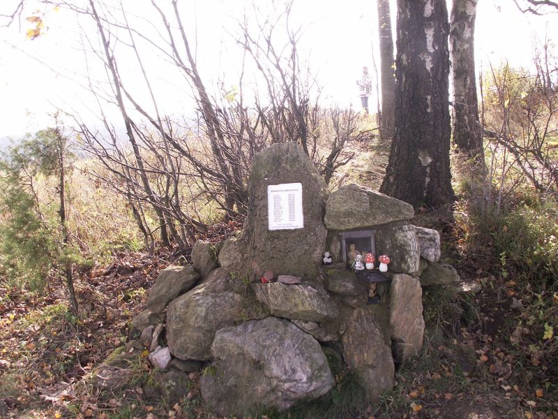 Obrázek #5 z 13