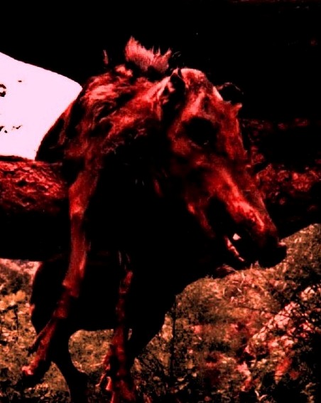 Obrázek #3 z 22
