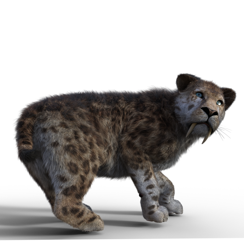 Obrázek #4 z 10