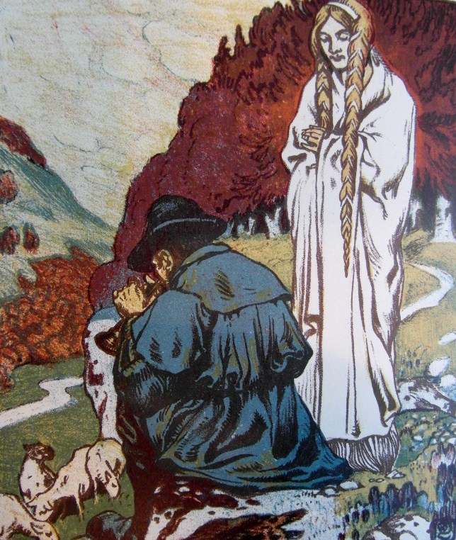 Obrázek #17 z 22