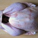 Velké povídání o vánočním krocanovi - příprava