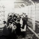 Mengeleho dvojče A-782 - !NEPRODÁVAT! Jiří FIŠER Mohelnice přežil Osvětim MENGELE koncentrační tábor Osvětim 16.01.17 bratr Josef