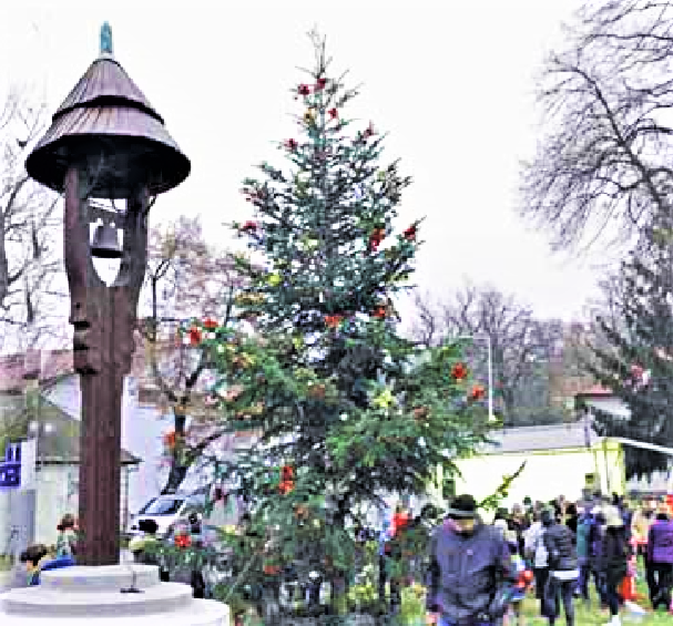 Obrázek #3 z 3