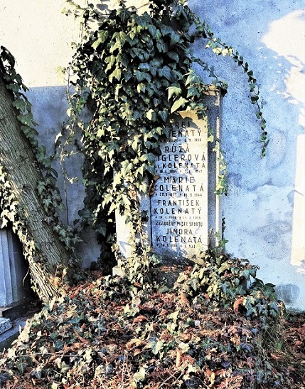 Obrázek #6 z 8