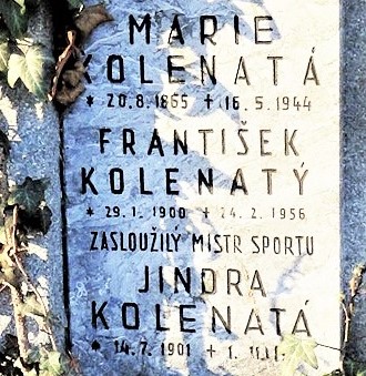 Obrázek #7 z 8